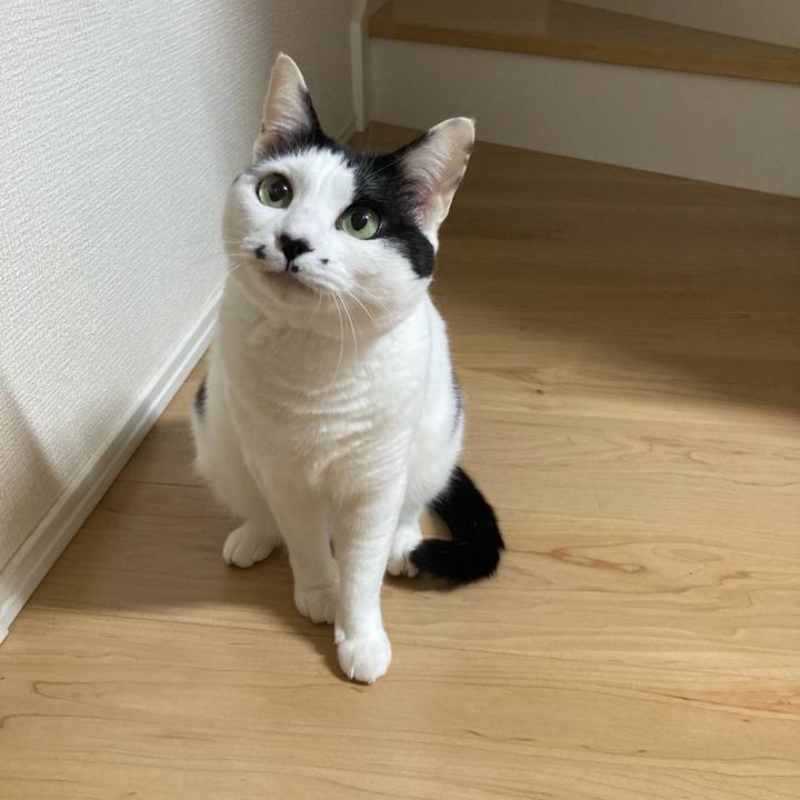 Cbf0d6e0 8a8b 4a90 98fe 111430efbf0c 1775507257186