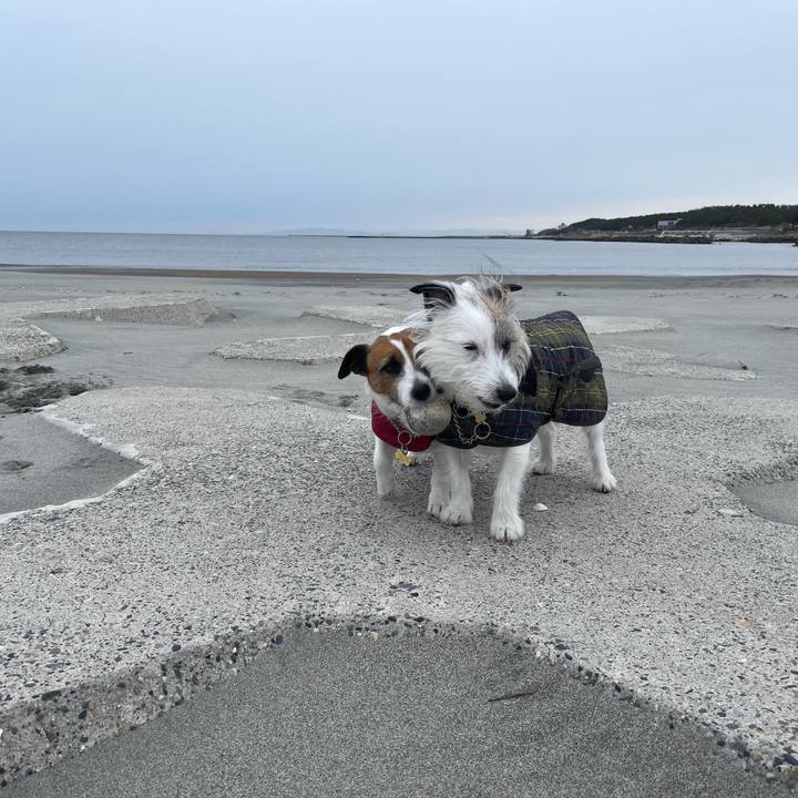 Cbf0e84d e746 41e1 b91e 6277574aa8e6 1710199608496