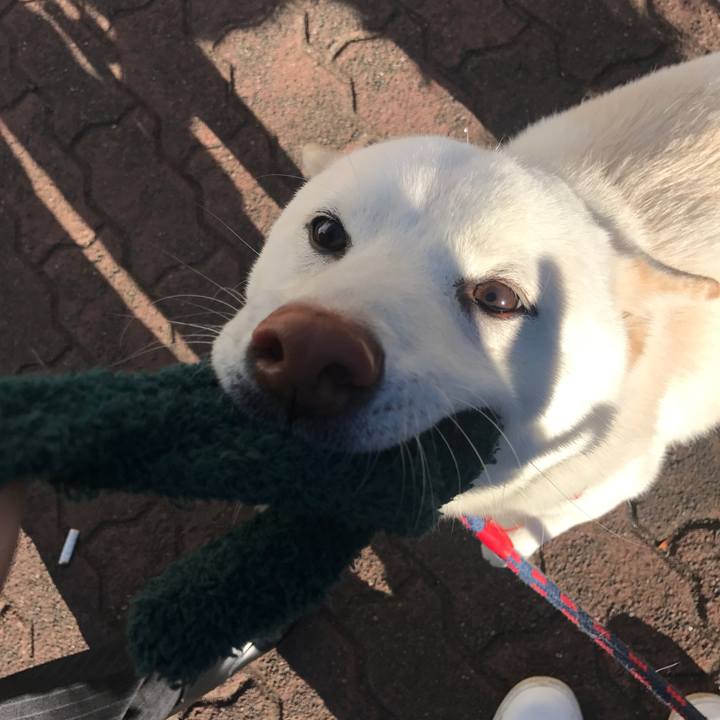 Cbf10353 0ef1 4ef6 84b8 f5d30c276b9d 1517965564274