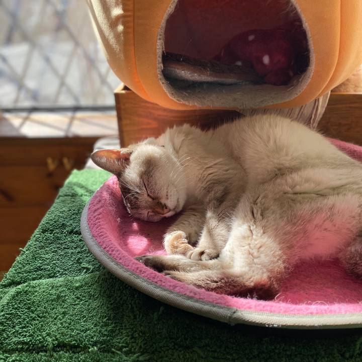 Cbf1558e ee81 4f28 be21 3e5ae8e46b3e 1602982842833