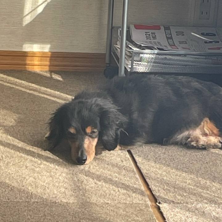 Cbf16a2d 3726 4e71 b84f 3b3fc21c86b5 1621979871181