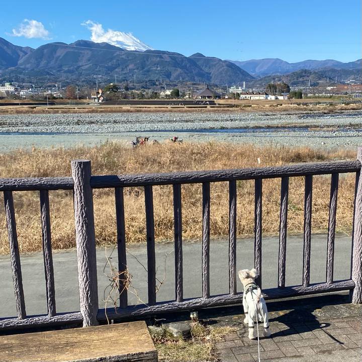 Cbf16fc5 6251 4bb6 bed6 db097438b917 1671952129531