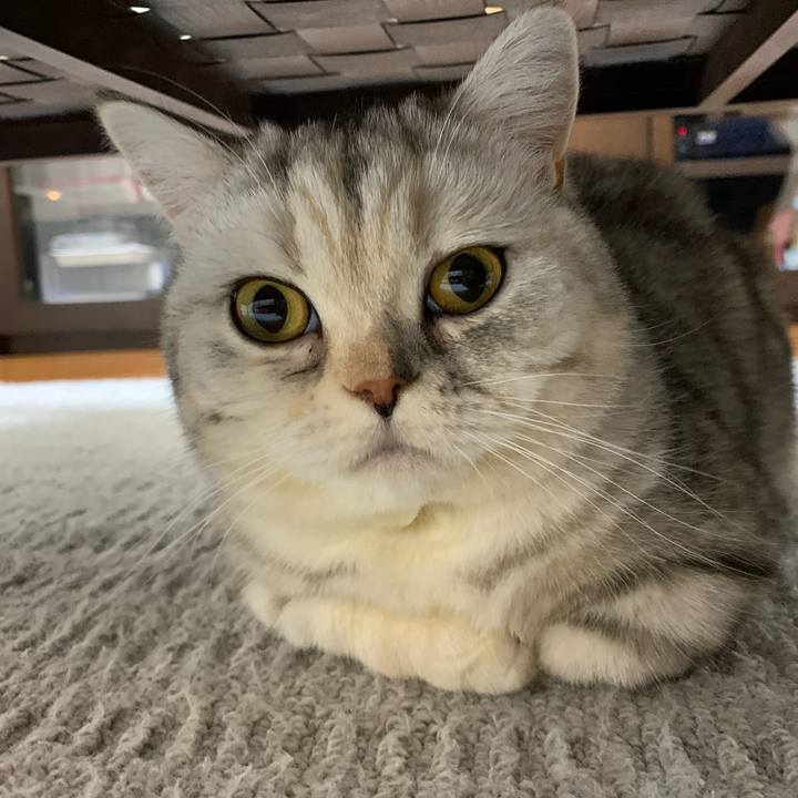 Cbf23888 abd9 4f68 aaae 1790bff91e0d 1709632269517