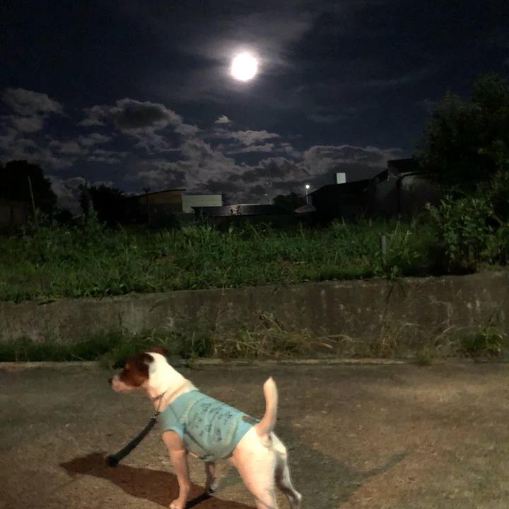 Cbf26e54 deab 4a13 89c2 ab43f91a020f 1565783607470