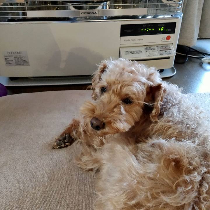 Cbf2713c de2d 41eb afbc 95358942d7bd 1579127223685