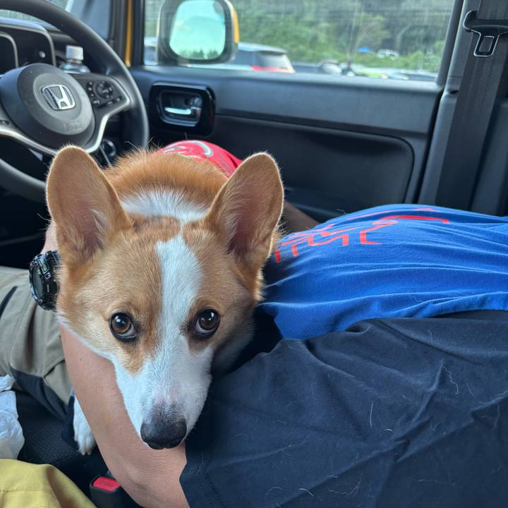 Cbf28217 e8c0 472f ab89 7b993f4ff615 1758834291444