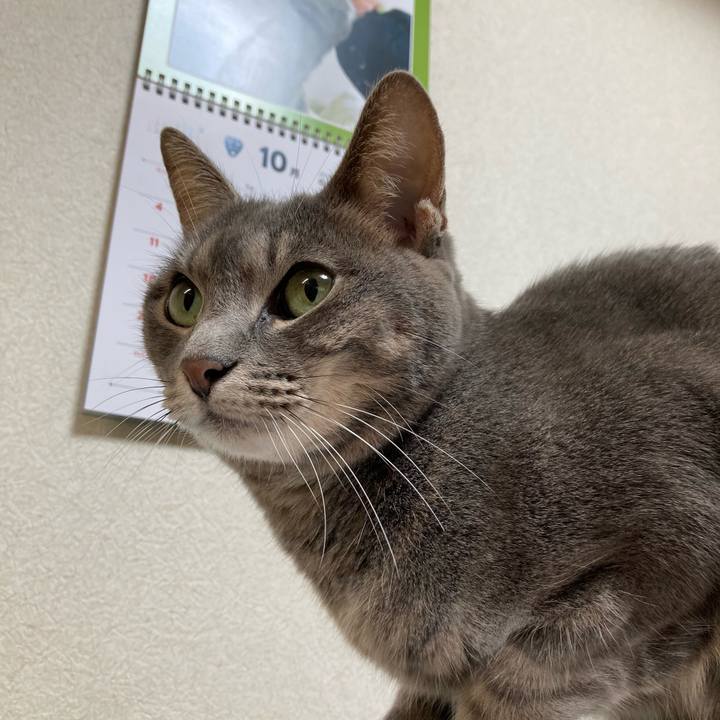 Cbf28749 f99b 4491 9517 ee59ddd192f1 1603499208399