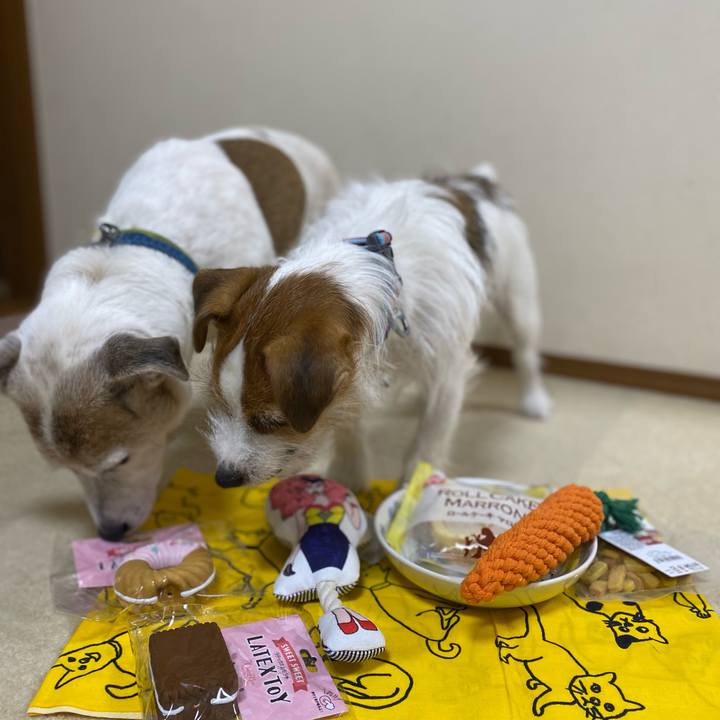 Cbf2b8d2 39ba 4e86 a080 ef6ce85843f1 1666959095082