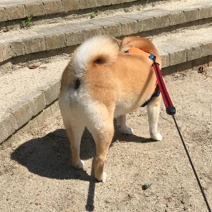 Cbf2bb1f 29a5 40d5 8a3f 6a8cebdff908 1526890252856