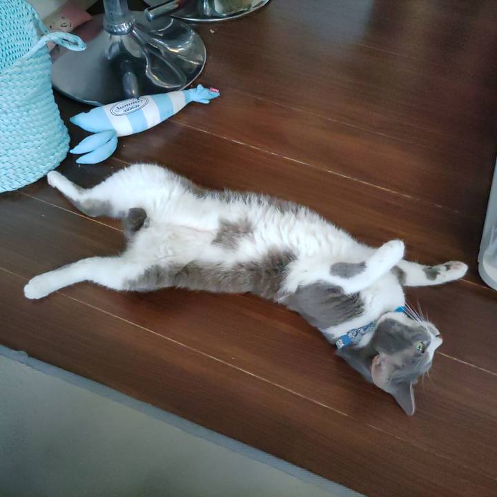 Cbf31cc1 bfe2 4165 bb62 8999c0932505 1691281745088