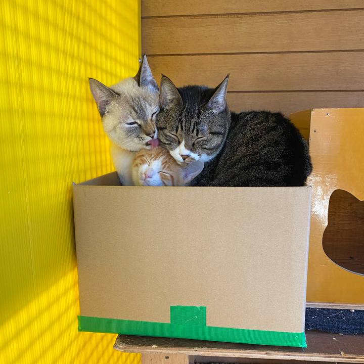 Cbf32ed2 fd08 456f bd69 5ddb18abcfc3 1668557335548