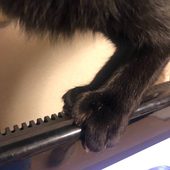 Cbf32f8f fdff 4964 b86d 17629c57df76 1582718121466