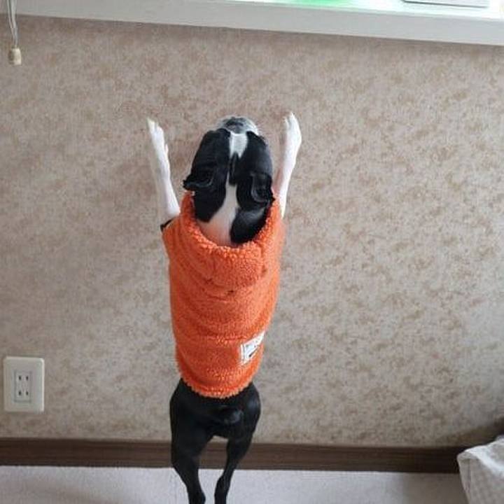 Cbf33b09 1ac7 4e07 a531 a6f1fe0f822f 1544537235981