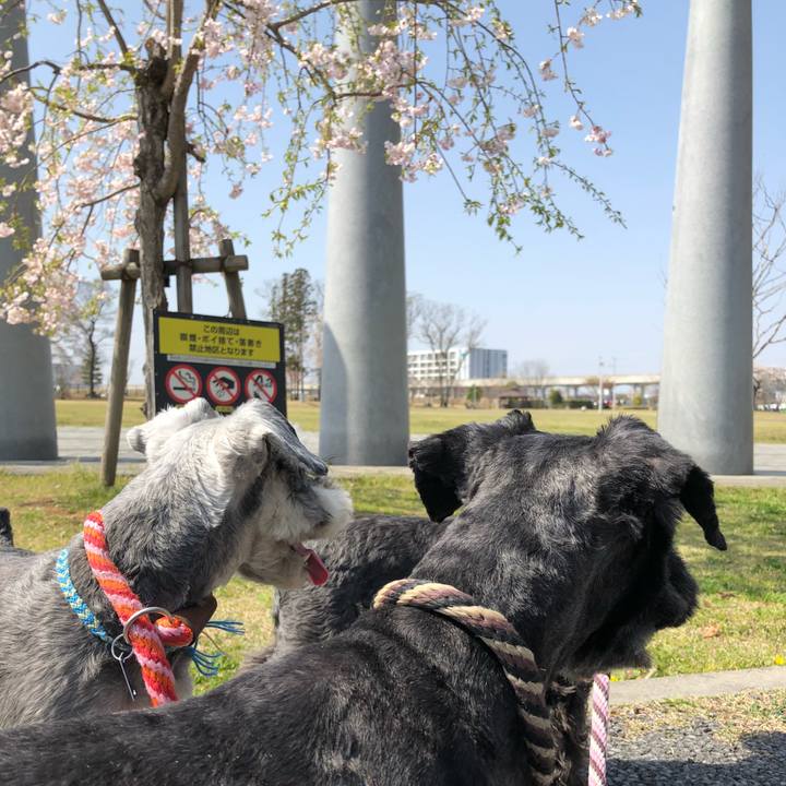 Cbf37242 47e4 44a9 98f8 8356e110cf1d 1522561843994