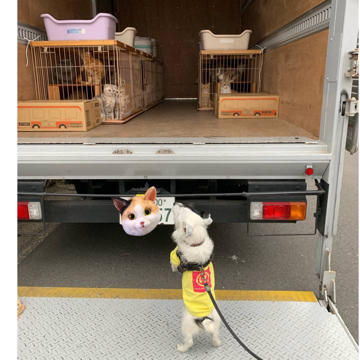 Cbf37f3d d16d 40eb 946b dcaa41e84fee 1682409995919