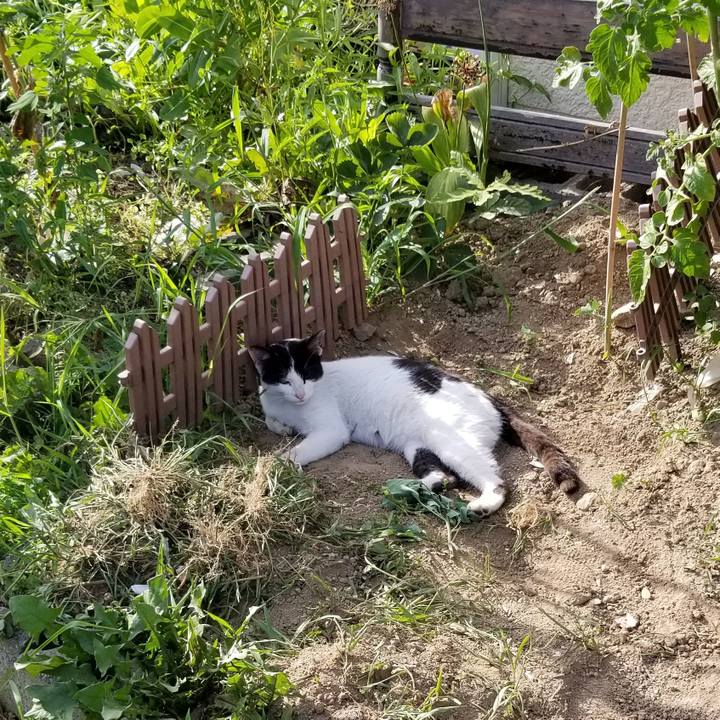 Cbf38d4e 368b 4972 bfdf bd783faf9abf 1564921521846