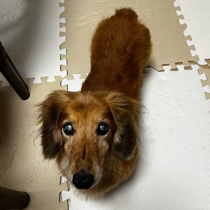 Cbf39591 9b61 4836 b10b cc43daff1ae2 1662556182472