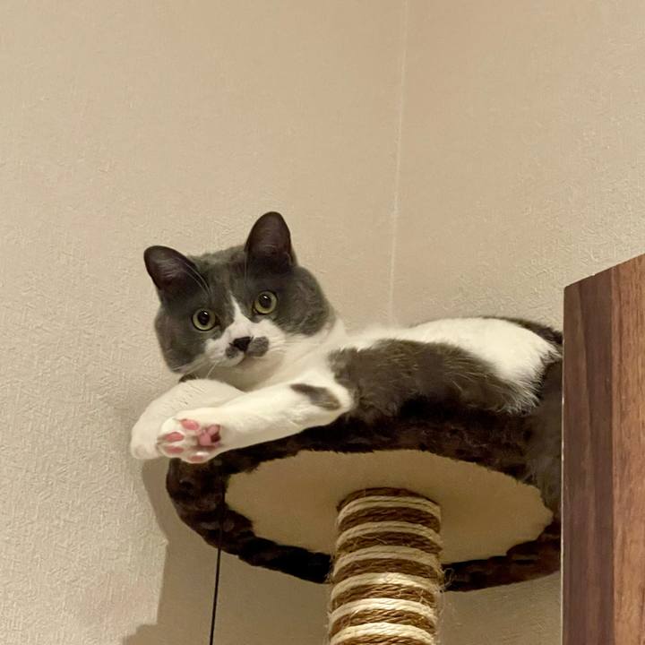 Cbf3ba0c 34b6 433c b66a 9d25a3440d05 1688470495214