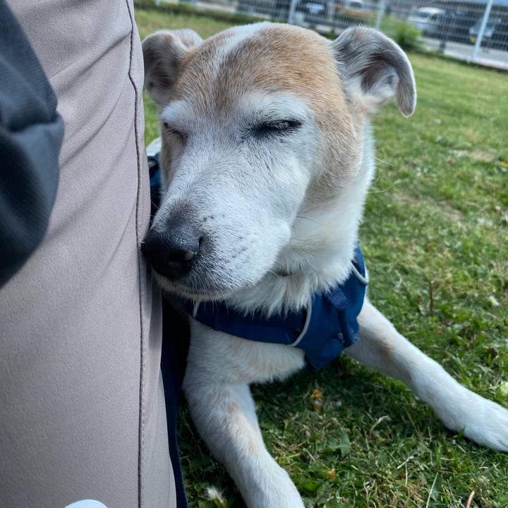 Cbf3d1d5 6816 4936 8af9 816d61e69b05 1653179636678