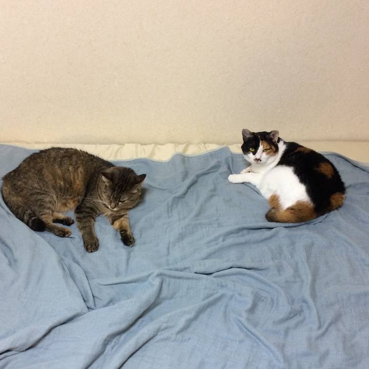 Cbf4069f a3c9 4dbf a499 2bf362bbcc63 1593333847771