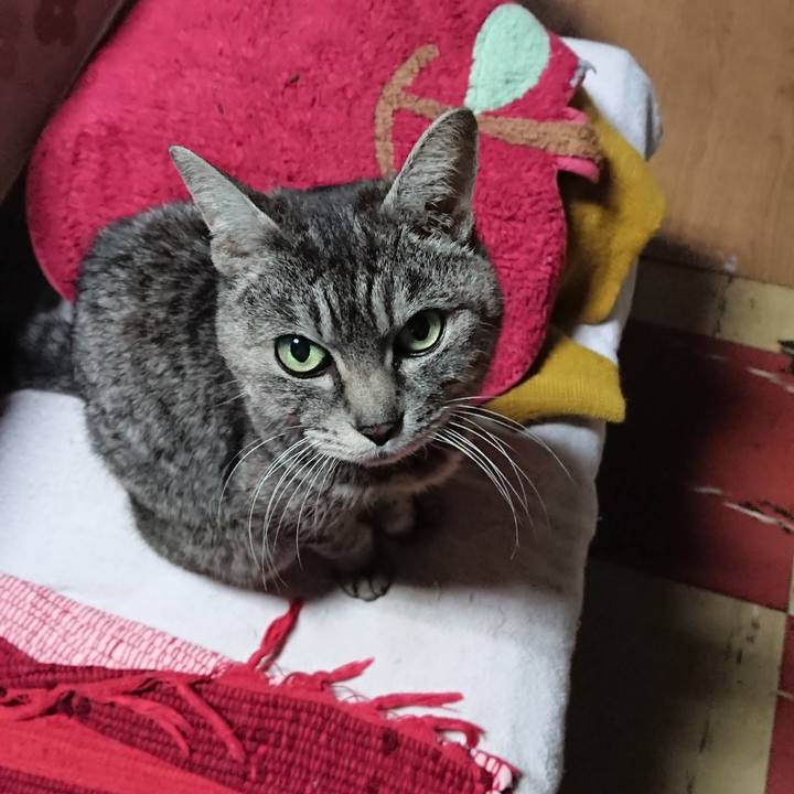 Cbf417ee 3bf3 461c 9e8c 048002355404 1551431888762