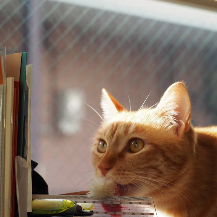 Cbf421e6 e075 49bb 97b5 cc204987baf7 1514939058159