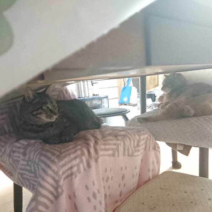 Cbf43791 3ee2 49b9 9d70 e36fc38e7fcd 1654503624276