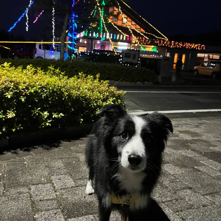 Cbf47b31 fda5 4e28 9053 f66ea2673d8c 1766627745569