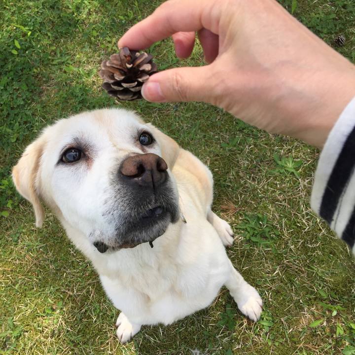 Cbf4b82c 59a7 4b8b ae3c 56a4b647ec71 1526434613369