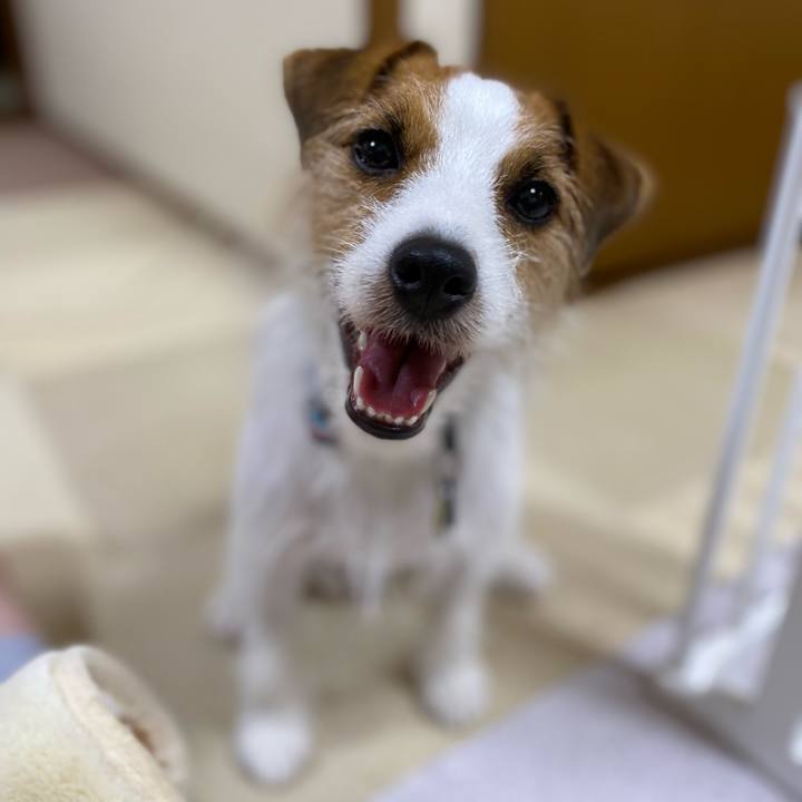 Cbf4c3ec 13ff 4f67 9f56 87b3845176b0 1663621761949