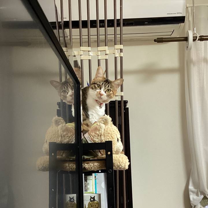 Cbf4d1ab 8523 40e3 9799 2422df711e23 1703121770749