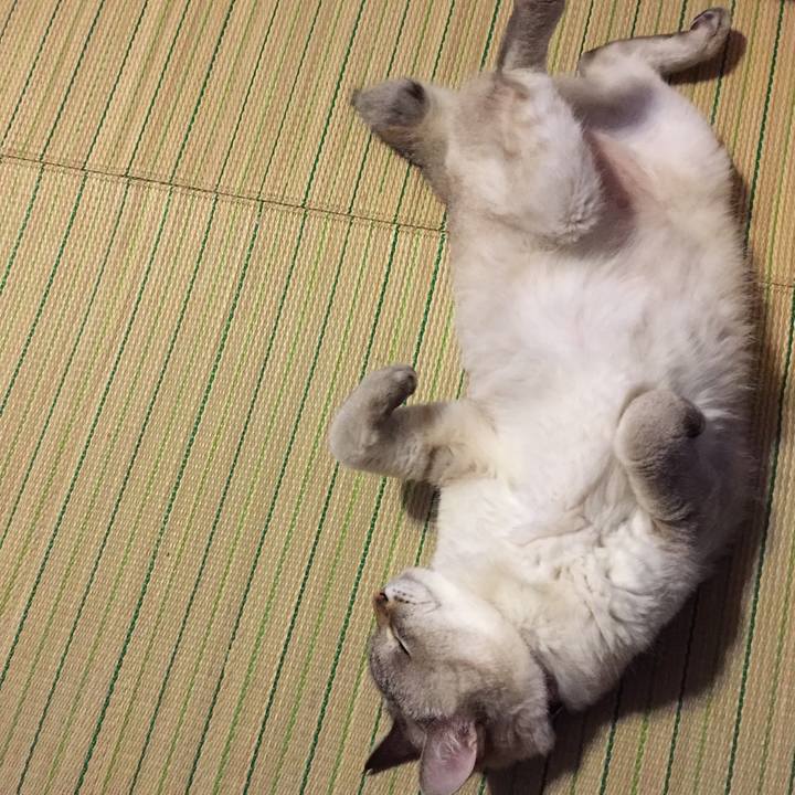 Cbf500df d76f 41f4 8d5c b43d3ab0e3a0 1532859800095