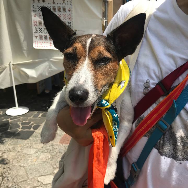 Cbf506bc 0864 4144 acbd e5fbefd5ee1f 1528799576756