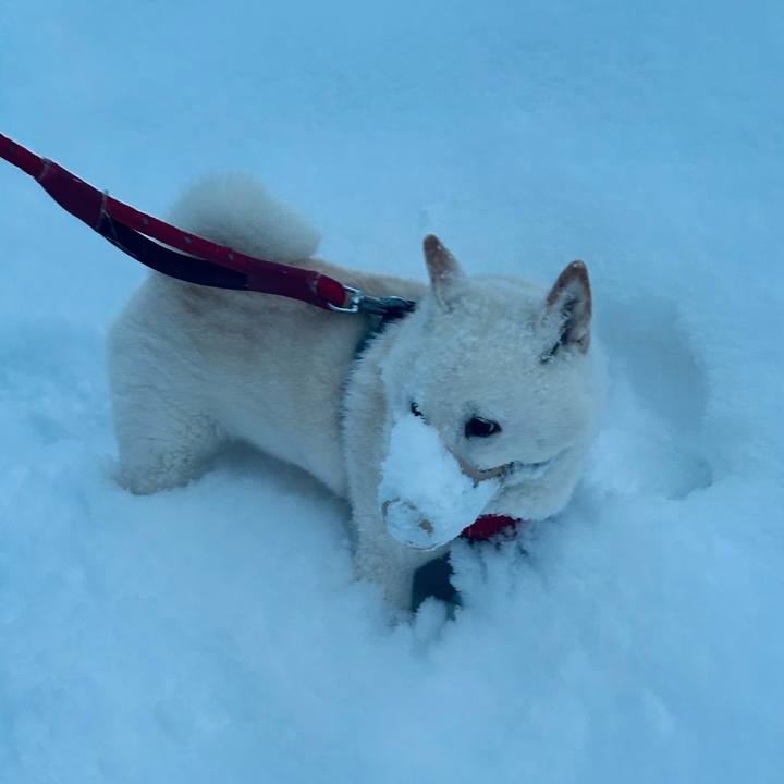 Cbf522df a7c6 4716 b0b2 8e3383dda045 1768261236412