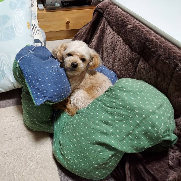 Cbf52509 0c18 4198 8c43 b6b05a6c3a7c 1637974141998