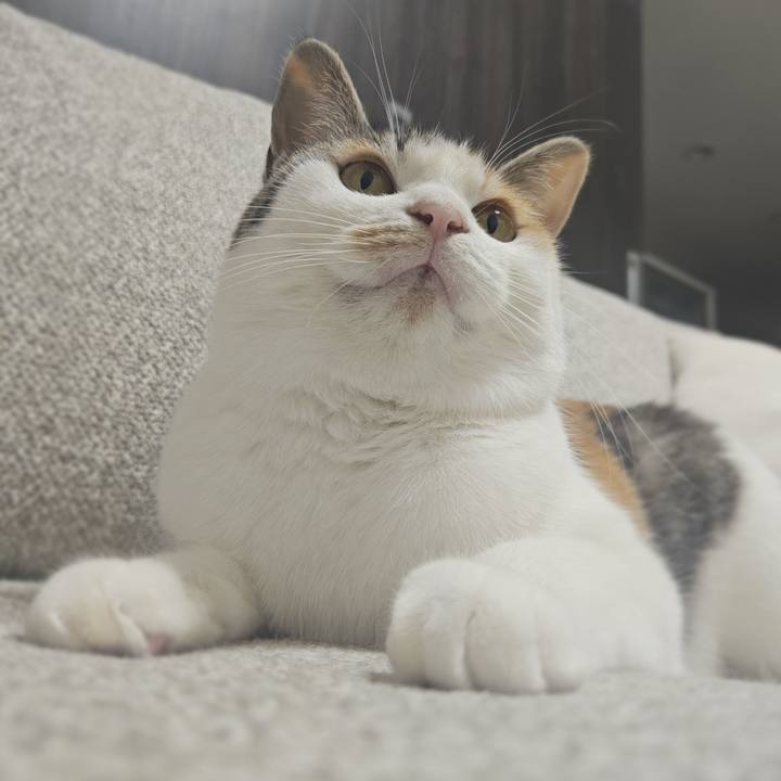 Cbf52e2c 81c4 4854 8d40 0ad776ac0c66 1772451528615