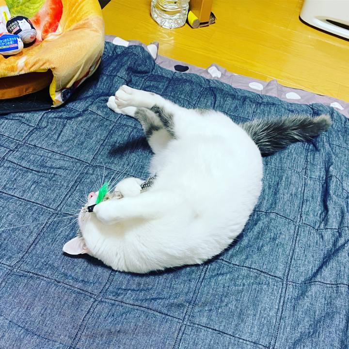 Cbf53227 1801 4c4c 9d4f a34fe425e0d9 1609104500022