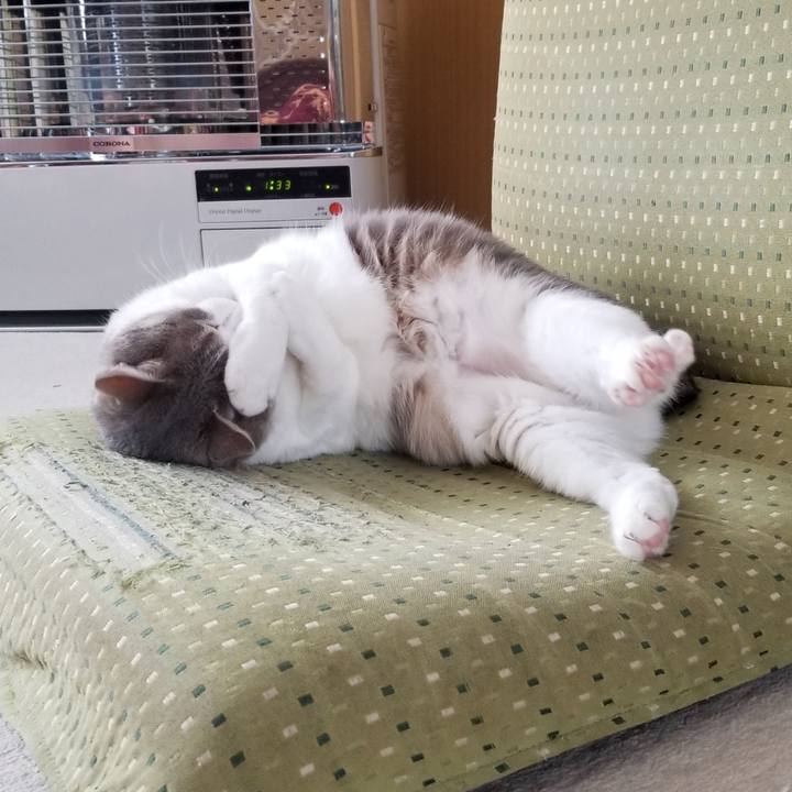 Cbf56ad6 f8c7 4d70 bbe3 336c15b3ed0e 1676420712141