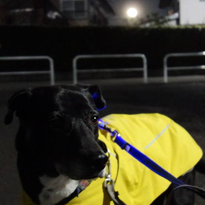 Cbf5edfe 5a26 4aa2 a583 91be6c276c4a 1739442394172