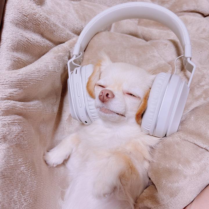 Cbf65fc7 9544 45da 8b2f 3e13aba9a42b 1679919886748