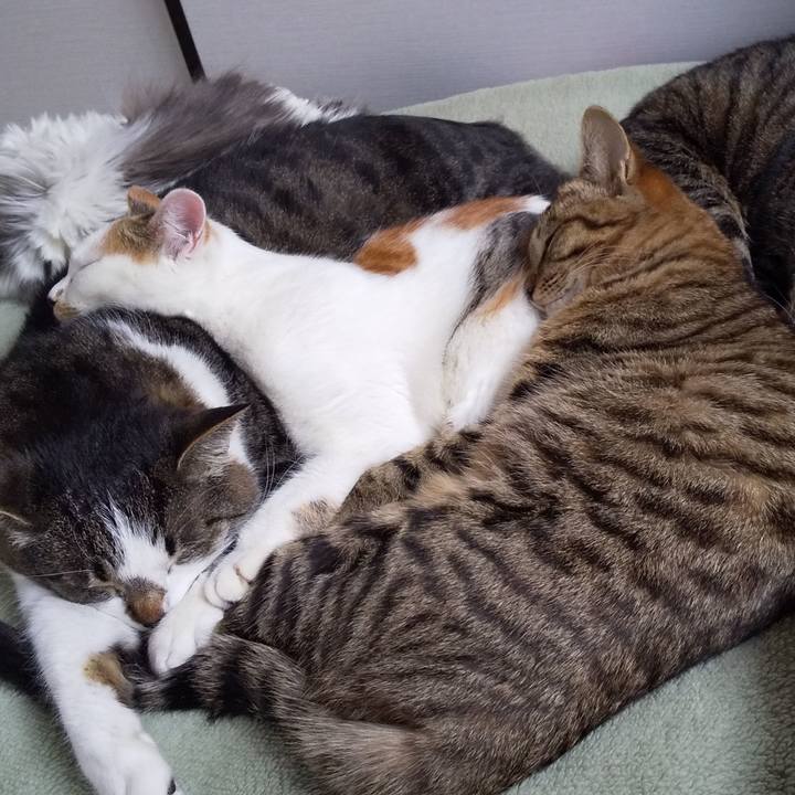 Cbf67075 119e 43e2 9a4f 17c637117bd2 1650256798164