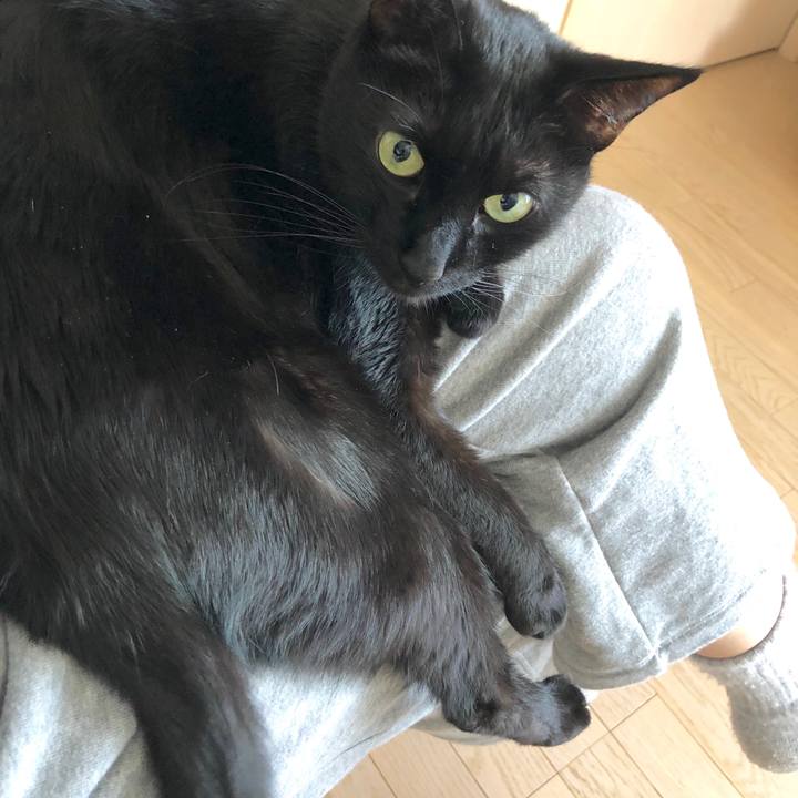 Cbf690dd 1876 4d36 9a30 ad72f825c59c 1587872507445