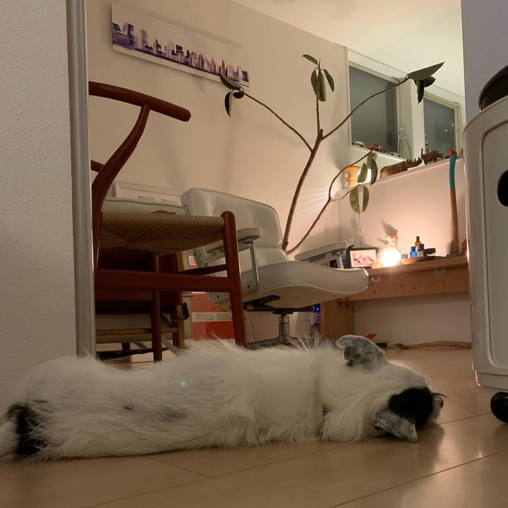 Cbf6944d d307 4f10 957b 6758be73ff21 1724764009773