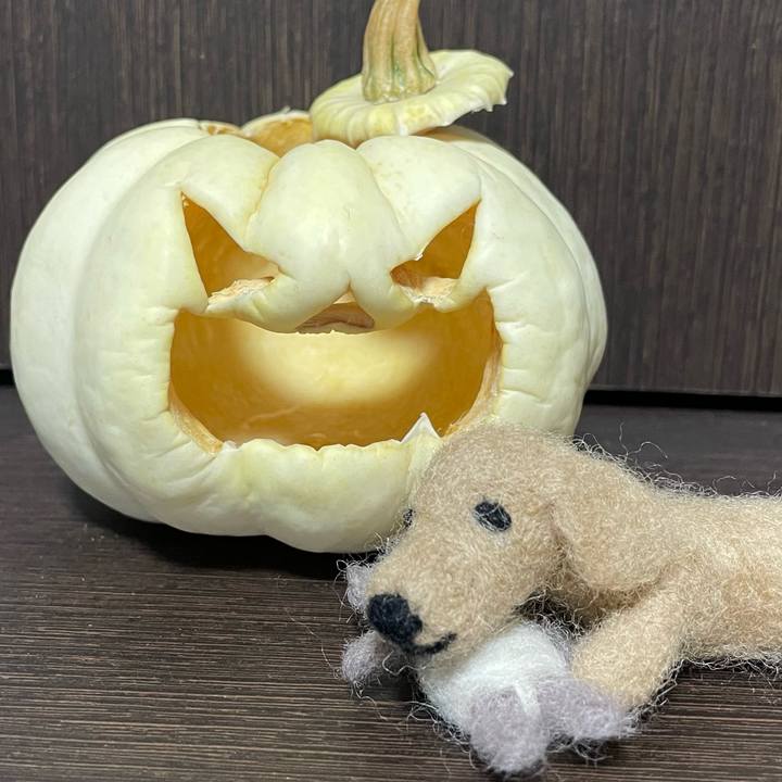 Cbf6c207 7094 4f02 a16d db60bc94f917 1635686559037