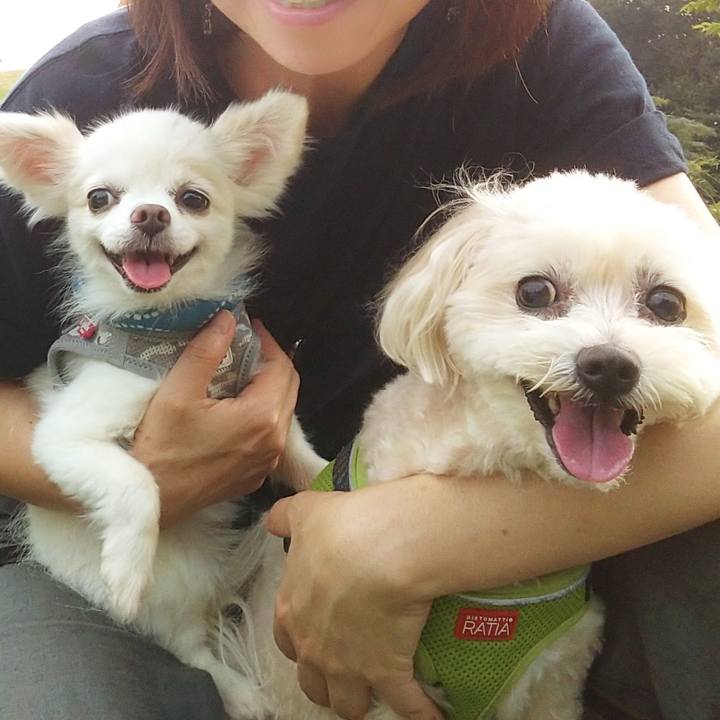 Cbf6c303 3546 40eb 9b8c cf10bf4027e1 1596967729103