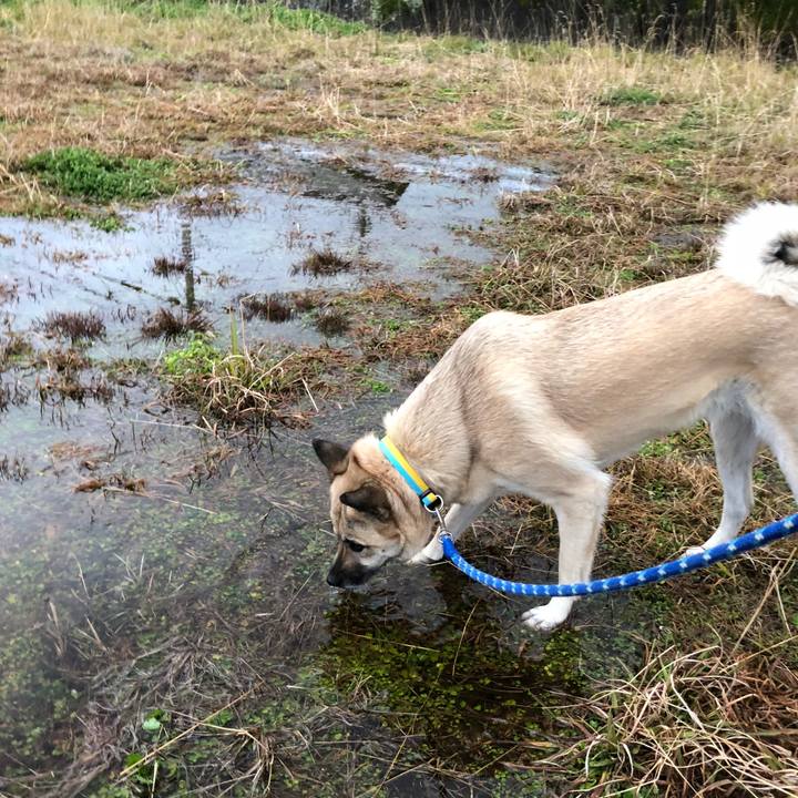 Cbf6d8d3 87b6 4e15 a0cf c451cdd894eb 1550664202016