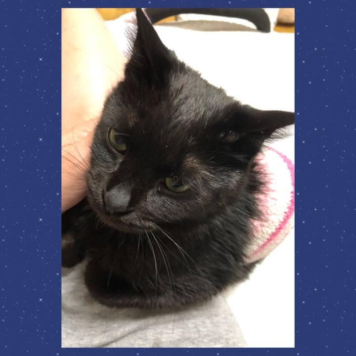 Cbf6e4d9 0036 4bb0 a9ec 802de3f36b8c 1587566479792