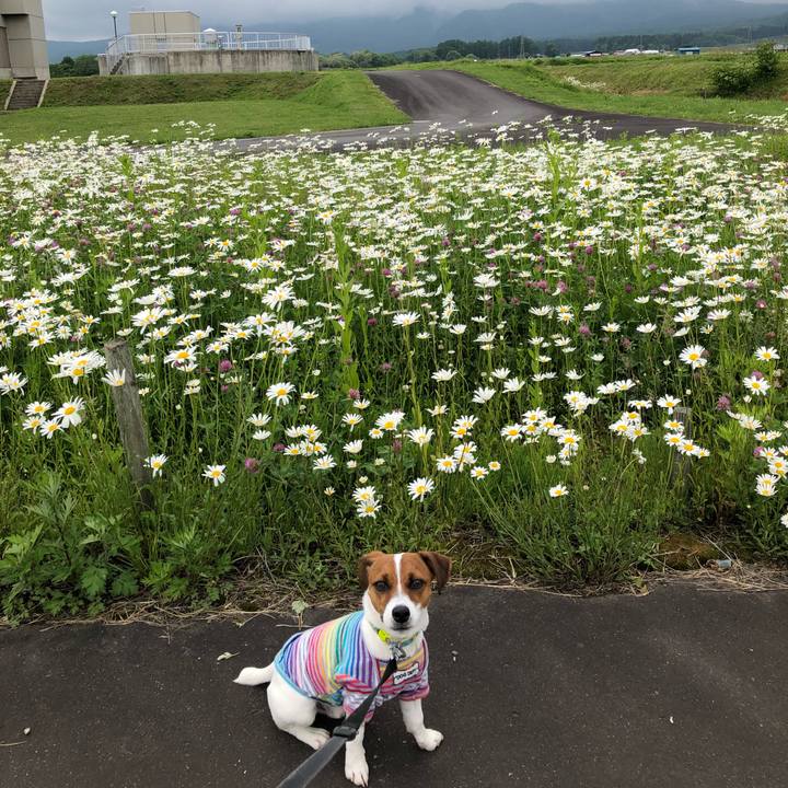 Cbf6fc3c 5a53 4555 860c a9df2a9c77ac 1527832594608