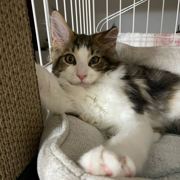 Cbf701ed ec4f 4759 8bc8 381201ef1565 1632774443732