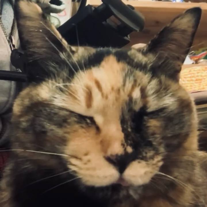 Cbf7084f 4d55 4153 9e35 07ee99d97b34 1738199695192